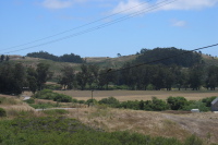 A hawk (perched on the wire at the center of the photo) awaits a meal.