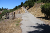 Camp Pomponio Rd. where it enters Pescadero Creek County Park, looking uphill.