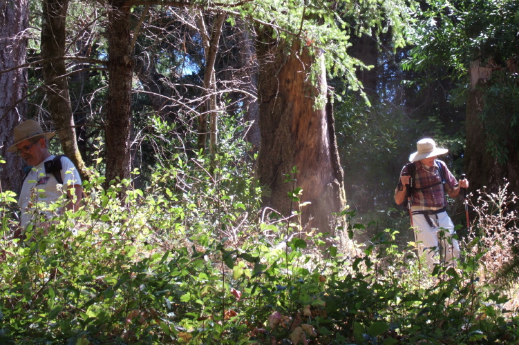 Ron and David descend the steep part of the trail to Peters Creek.