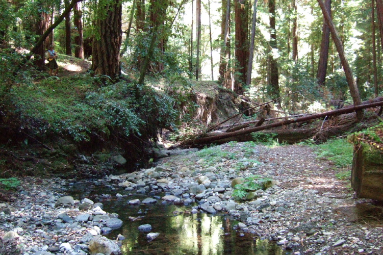 Looking down Peters Creek.