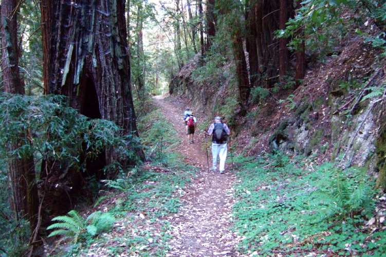 Descending the Bear Creek Trail.