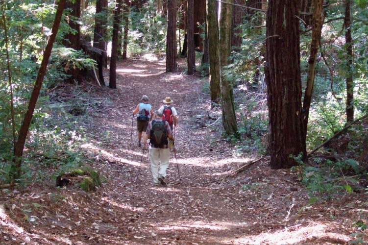 Descending the road part of the Bear Creek Trail.