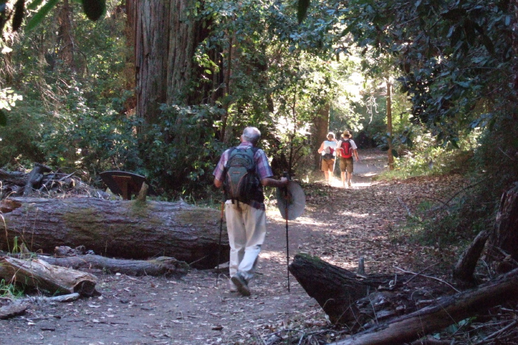 The last quarter mile down the Old Tree Trail.