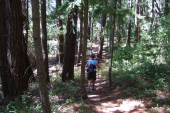 Alice marches ahead down the trail to Peters Creek.