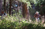 Ron and David descend the steep part of the trail to Peters Creek.