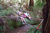 Alice and Ron eat lunch on an old tree trunk.