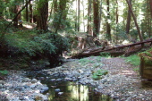 Looking down Peters Creek.