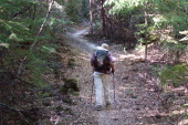 Previous