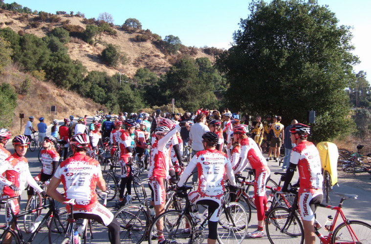 The assembled crowd.