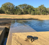 The elephants come to drink here frequently.  Photo courtesy of Laura Bushnell.