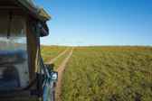 As the road deteriorated from graded dirt to the occasional mud-pit, and then to a dual-track, we realized that the drive into Thonga Beach was itself to be an adventure.