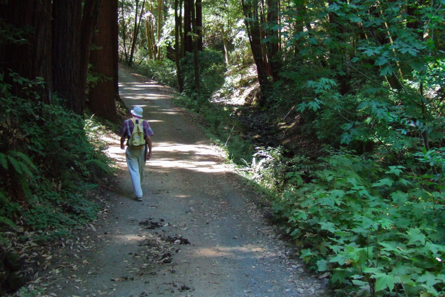 David hikes up Richard's Road alongside West Union Creek.