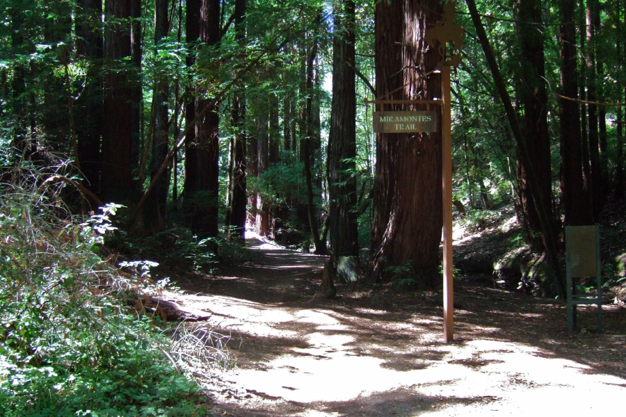 Starting up Miramontes Trail