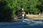 Previous
