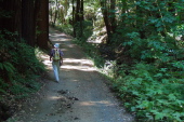 David hikes up Richard's Road alongside West Union Creek.