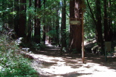 Starting up Miramontes Trail