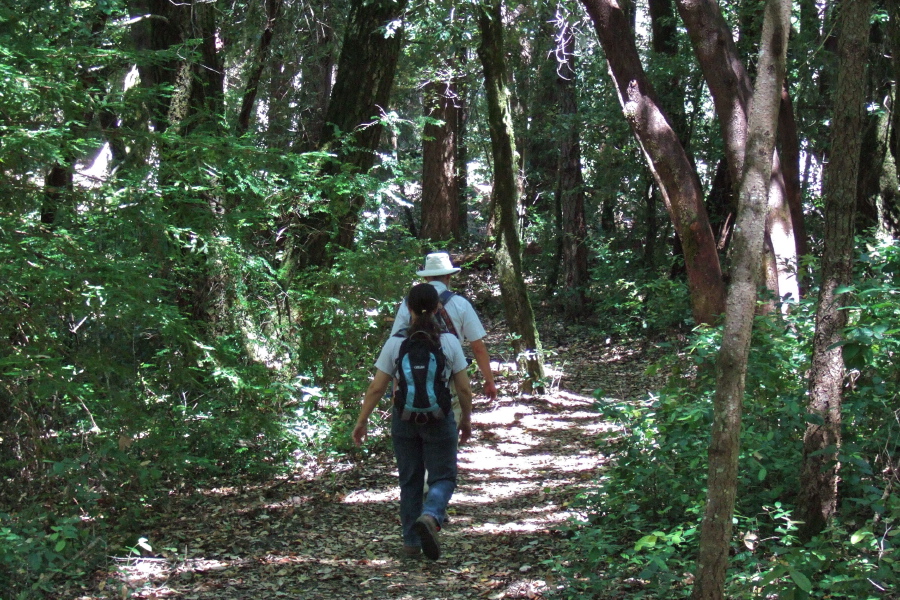 Frank and Stella march ahead up the Crystal Springs Trail.