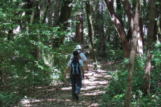 Frank and Stella march ahead up the Crystal Springs Trail.