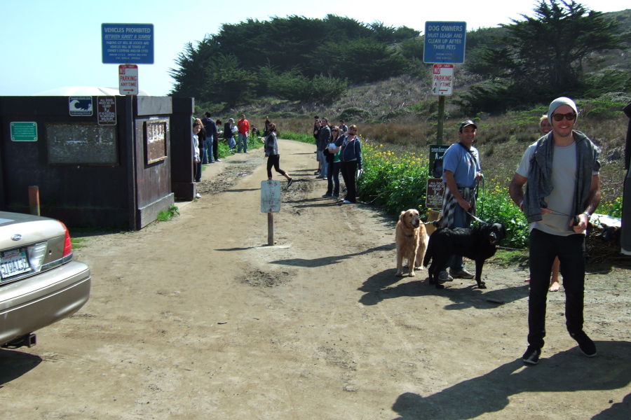 Crowd at the Pillar Point trailhead