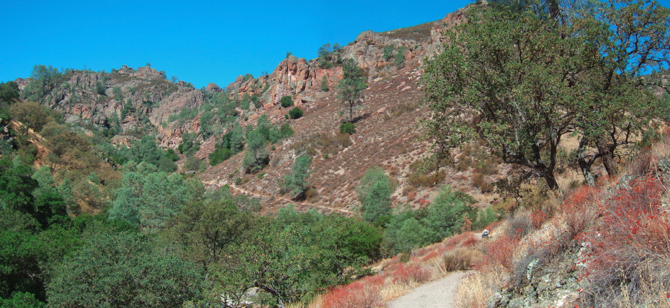 Frank (white hat) starts up Condor Gulch Trail.