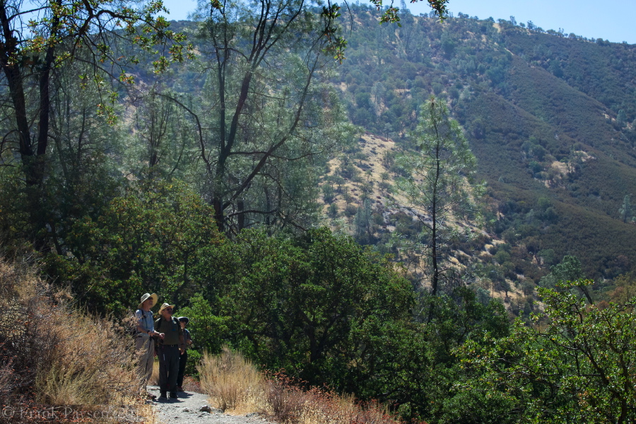 Bill, Ron, and Stella enjoy their first view of the high peaks.