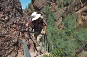 David reaches the top of the first stairway.