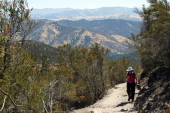 Stella uses her HT while hiking up Condor Gulch Trail.