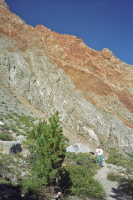 Bill hikes up the trail below Piute Crags.