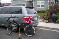 Dana Lieberman's Carbent.