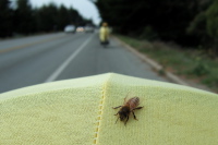 Bill picks up a passenger.