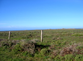 Coastal plains on Pt. Reyes; Pacific Ocean in background