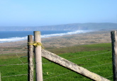 North Beach, Pt. Reyes