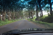 Driving up Maluhia