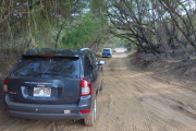 We find a shady spot to park the car.