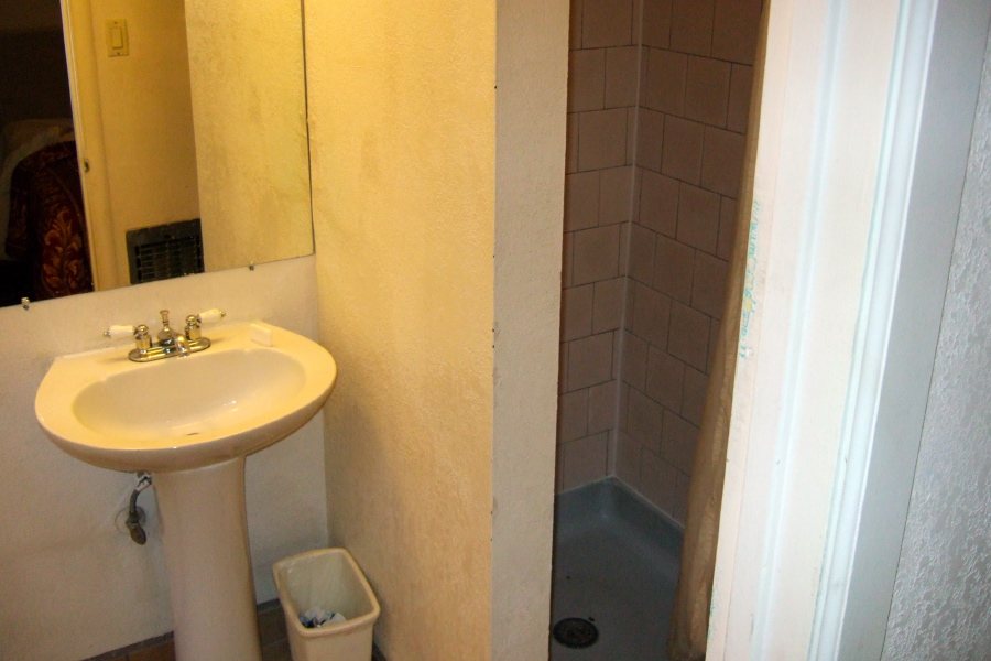 Sink and shower stall.