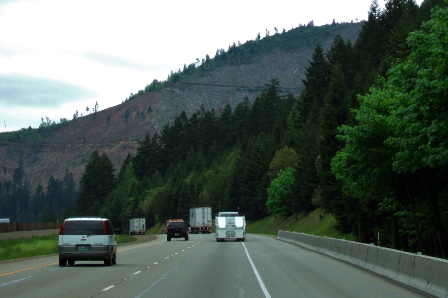 Clearcut on hillside near freeway.