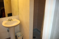Sink and shower stall.