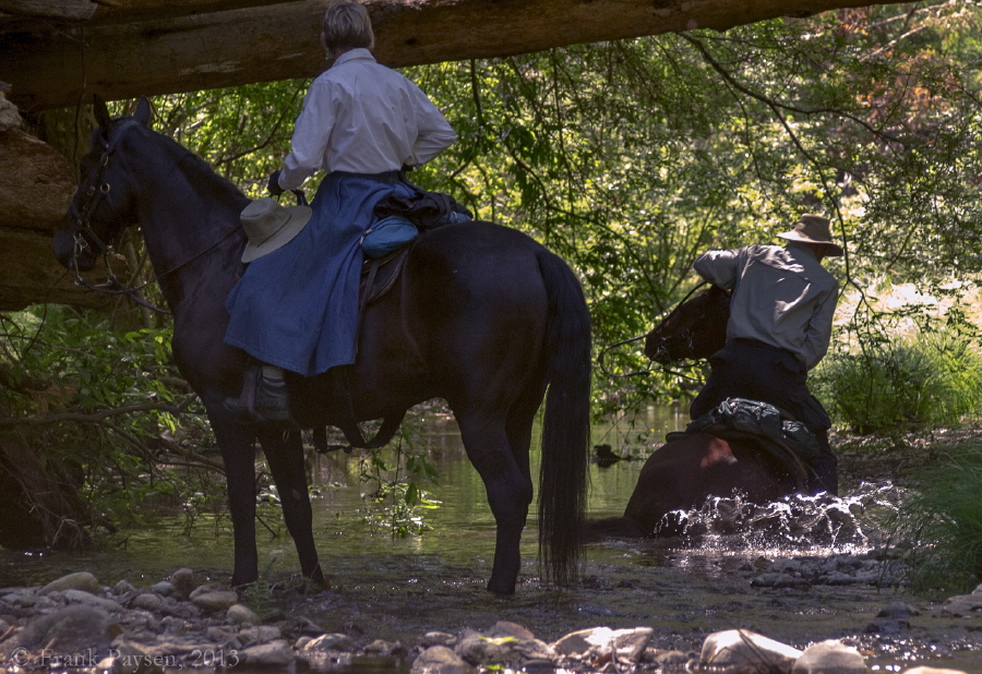 Horse takes a dip in the cool waters of Pescadero Creek, alarming its rider.