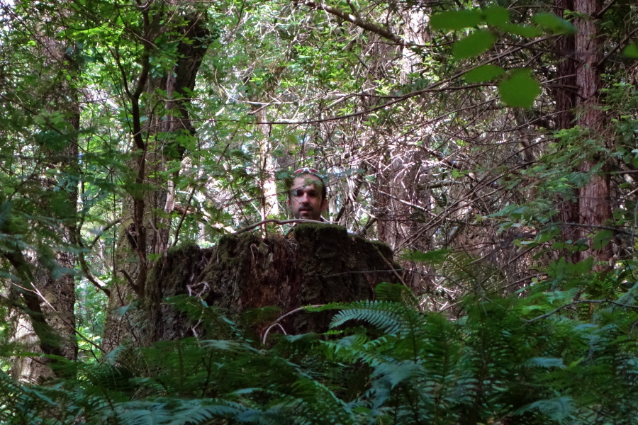 Bogdan plays hide and seek.