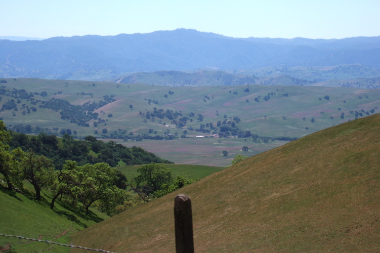 View down into Santa Anita Valley from top of Quien Sabe Rd.