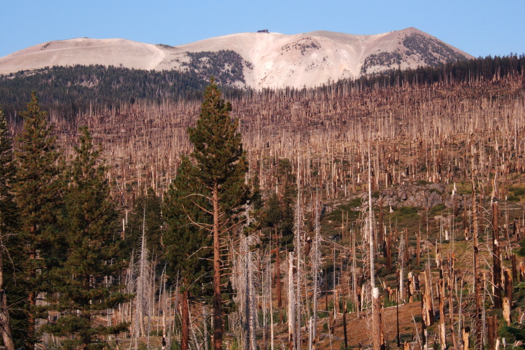 Mammoth Mountain from Rainbow Falls.