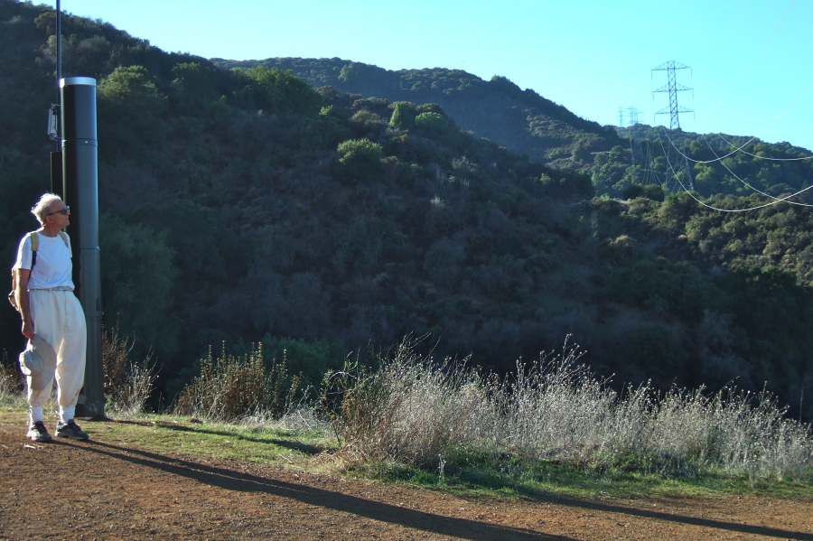View up the PG&E Trail.