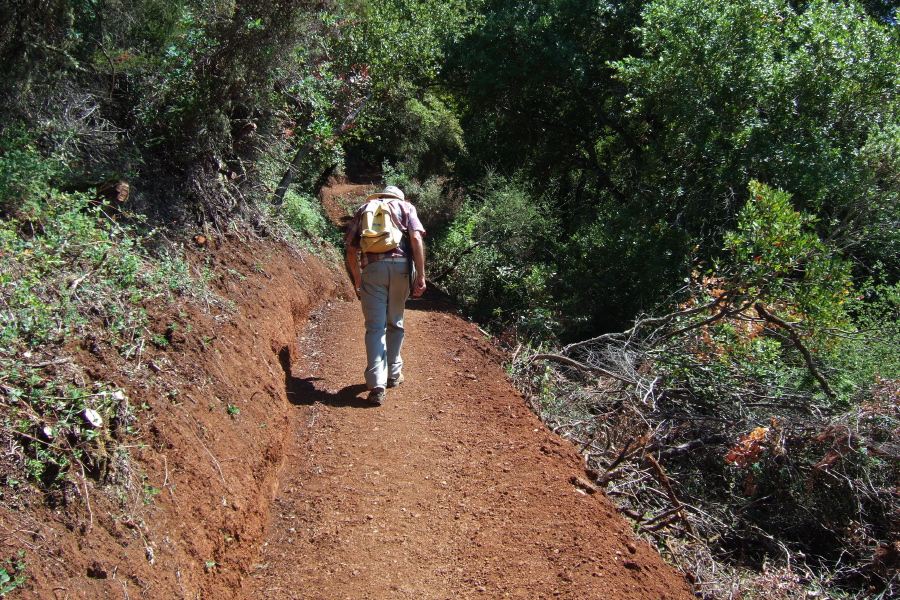 David presses up the first part of the PBHWTP Trail that is quite steep.