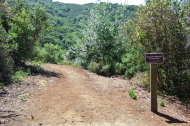Start of the 