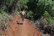 David presses up the first part of the PBHWTP Trail that is quite steep.