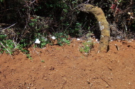 Ah, here we find the trail's namesake.