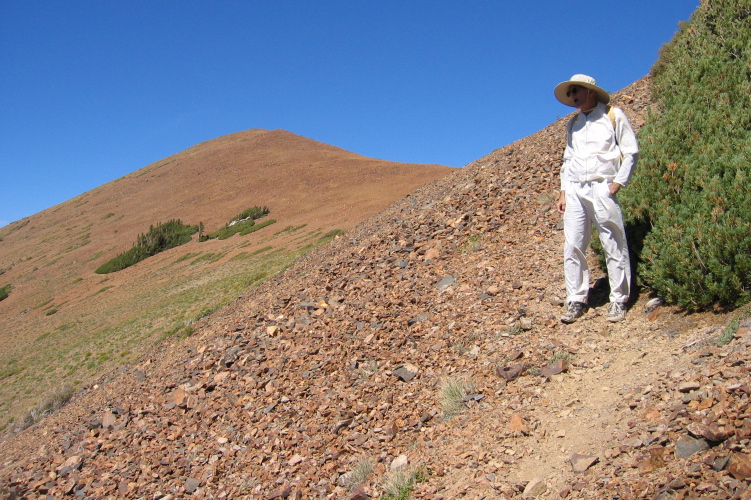 David descends Sherwin Crest below Red Peak (in the background)