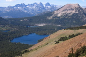 Previous