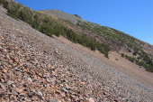 Previous