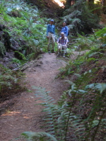 (l to r): Zach, David, and Noriko on the French Trail.